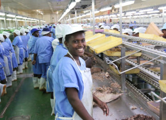 Employees of tourism industry and Soltuna to be laid off