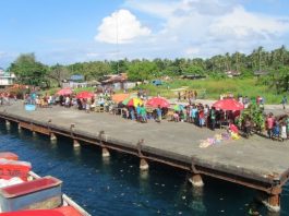 PM Sogavare hails Russell Islands’ coconut potential.