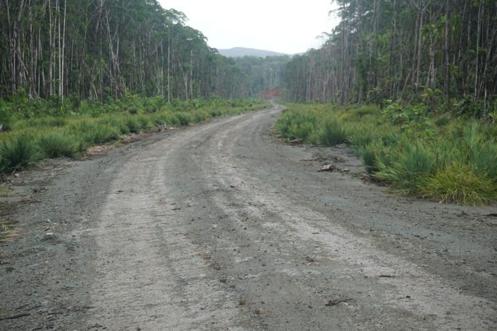 The-logging-road-that-runs-through-the-island-of-San-Jorge.