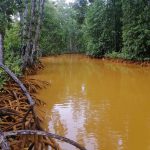 A passage turned milky due to mining operation upstream. The mangroves are where women used to look for mud-shells and crabs