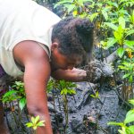 Joyce Authegna looking for mud-shell