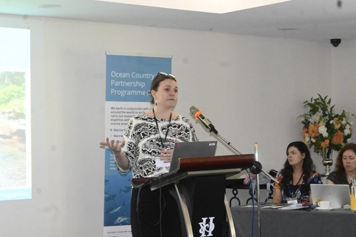 Sheridan Rabbitt delivering her presentation at the workshop.