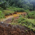 This is the stream that Mr Kokoi used to find prawn, eel and fish to feed his children. Now its polluted