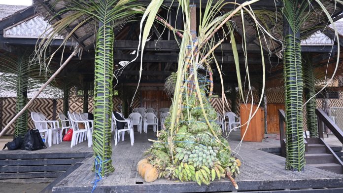 Photo 3- Chupu