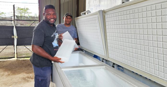 The centres will provide cold storage and ice-making services to help fishermen preserve their catch- Photo MRD