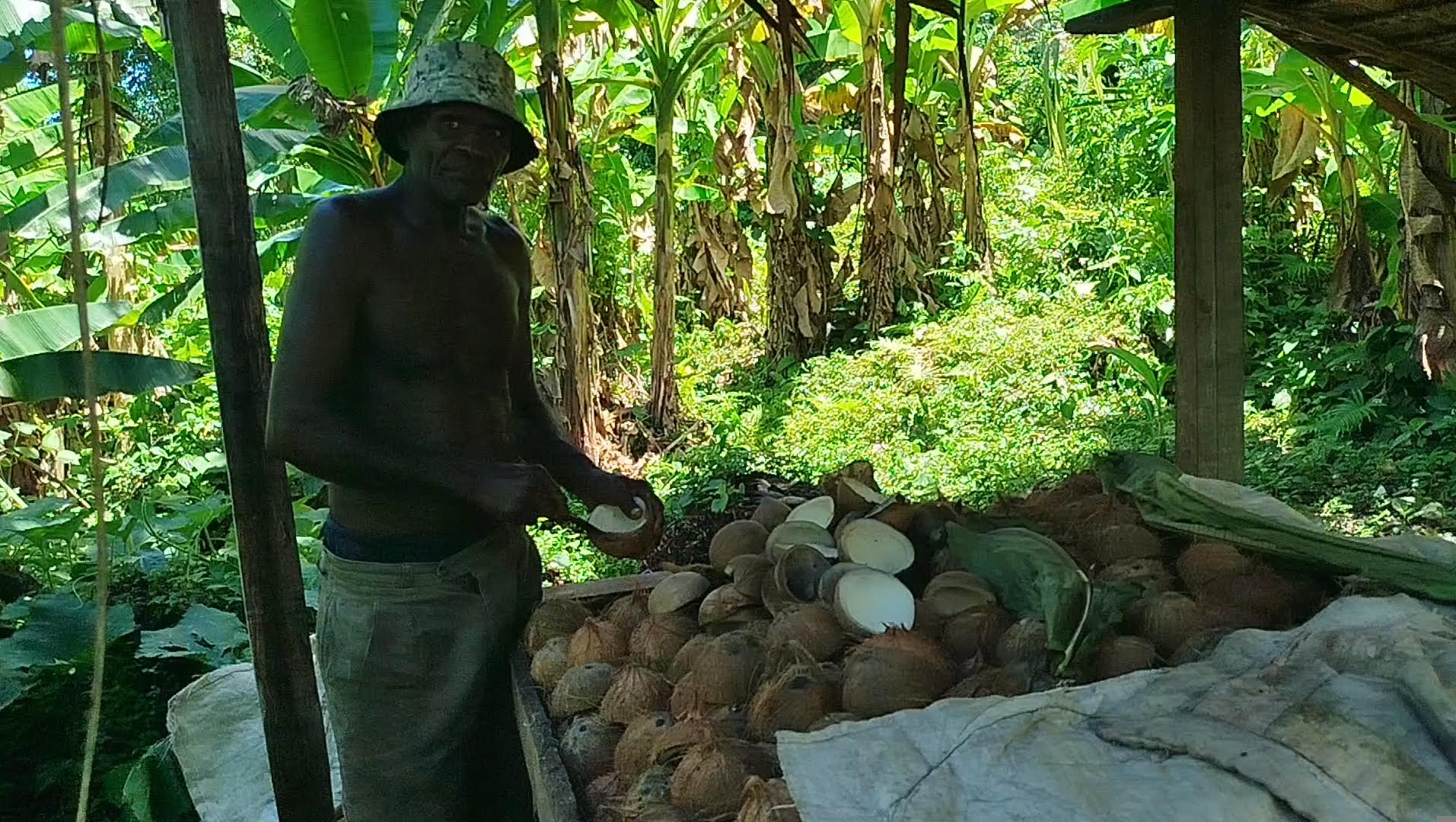 TAKING THE LEAD – Theislandsun