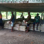 Bags of cement for the new clinic building. Photo SEPI Forum.
