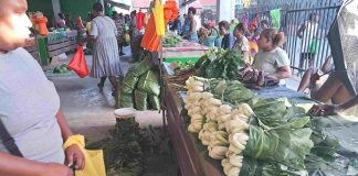 Slippery cabbage running low at Honiara Markets