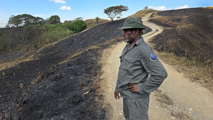 A security guard looks on at the destroyed site
