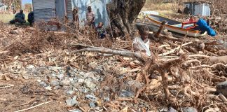 WPDC deploys special team to clear cyclone debris