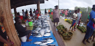 Fishermen forced to travel farther as tuna moves away