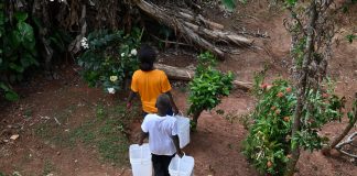 El Niño poses huge challenge to Gizo residents
