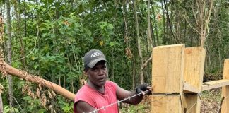 Fencing begins at Mile 6 cattle farm